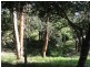 260 Creamery Valley Rd, Toora VIC 3962