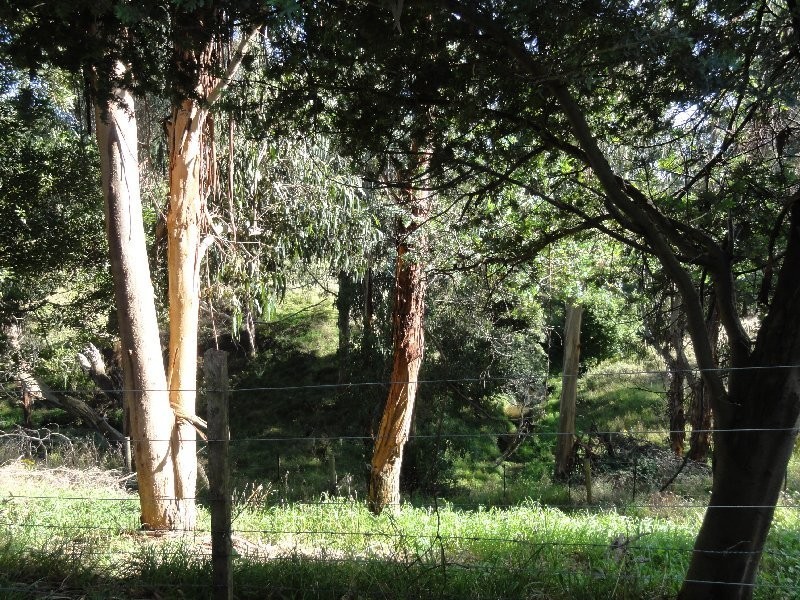 260 Creamery Valley Rd, Toora VIC 3962