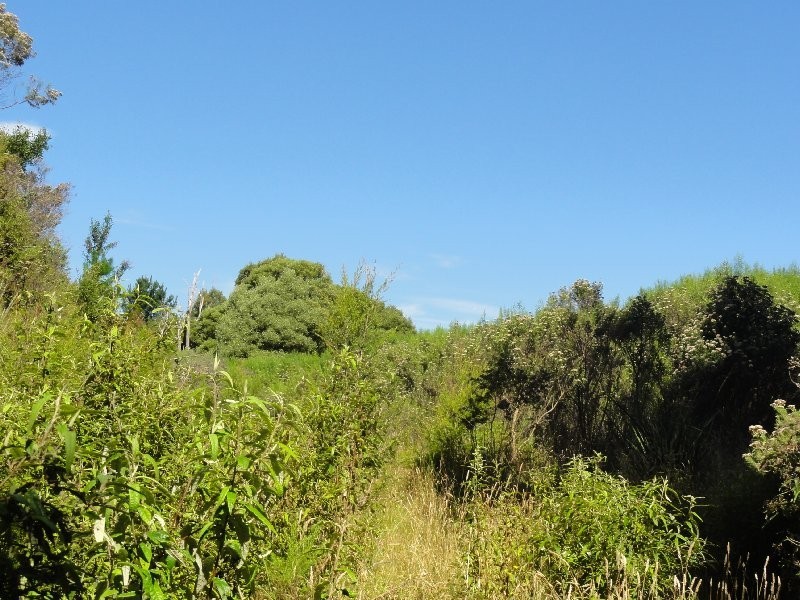 Lot 1 Foster Mount Best Rd, Mount Best VIC 3960