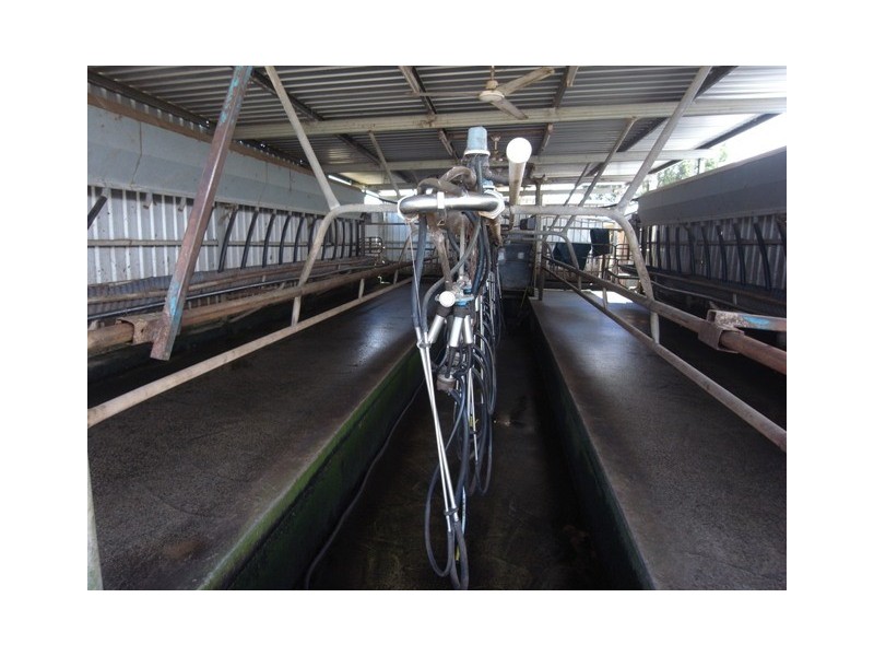 65 Gibson Brothers Road, Trafalgar VIC 3824