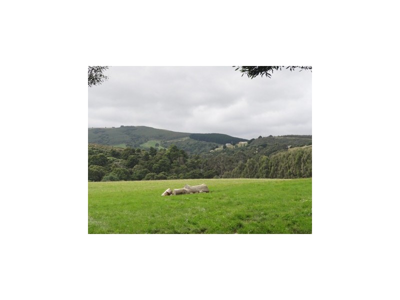 40 Franklin River Rd, Toora VIC 3962