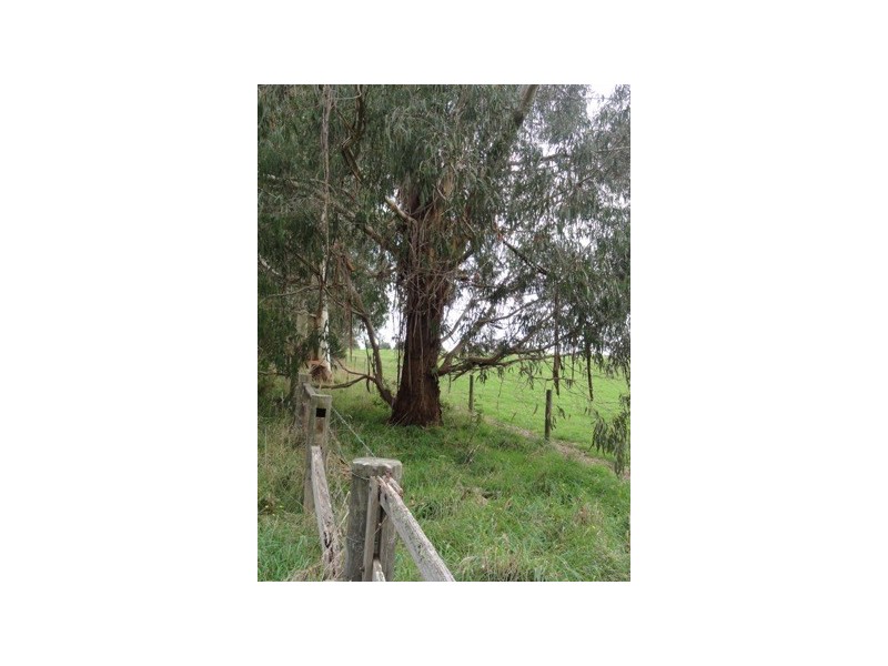 40 Franklin River Rd, Toora VIC 3962