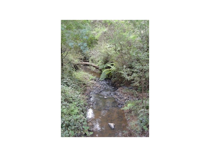 40 Franklin River Rd, Toora VIC 3962