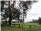 40 Franklin River Rd, Toora VIC 3962