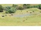 369 Ferndale Strzelecki Road, Ferndale VIC 3821