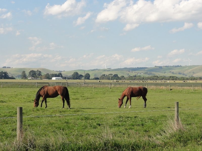 85 Rathjens Rd, Toora VIC 3962