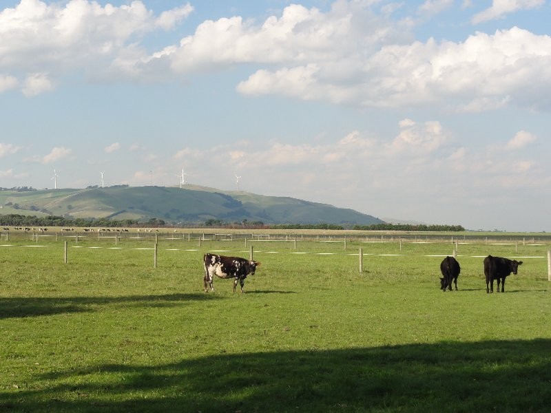 85 Rathjens Rd, Toora VIC 3962