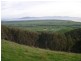 115 McKane’s Rd, Welshpool VIC 3966