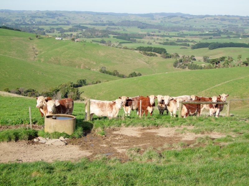 . Phelans Road, Nerrena VIC 3953