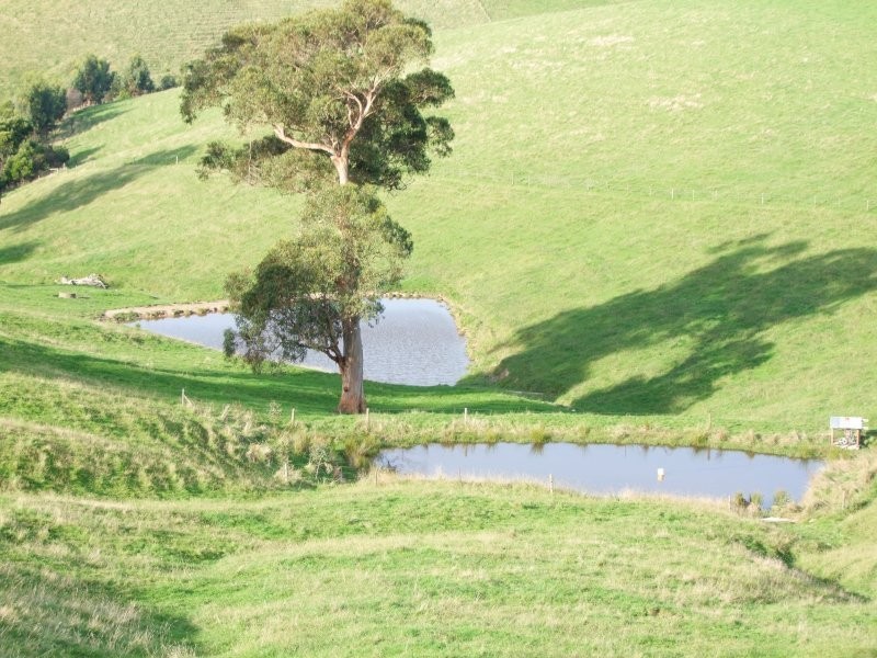 . Phelans Road, Nerrena VIC 3953