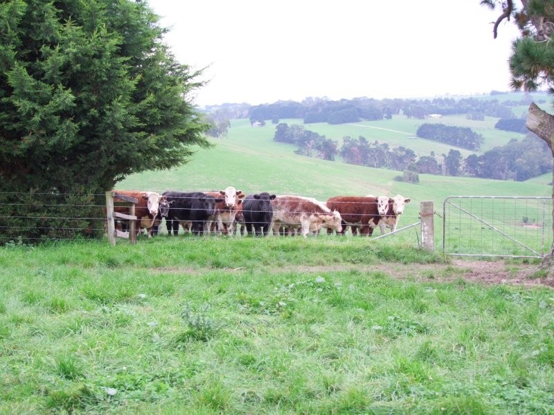 . Phelans Road, Nerrena VIC 3953