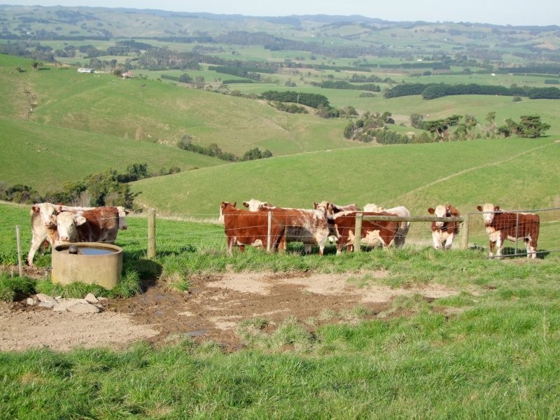 . Phelans Road, Nerrena VIC 3953