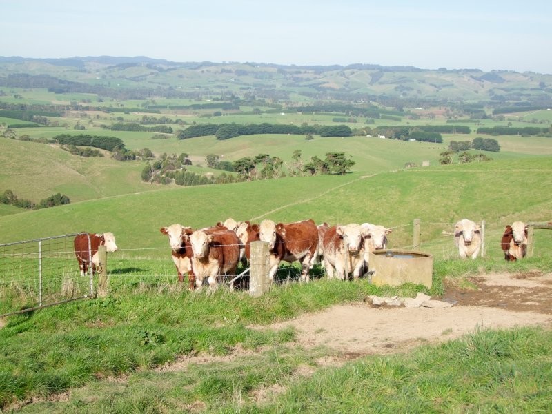 . Phelans Road, Nerrena VIC 3953