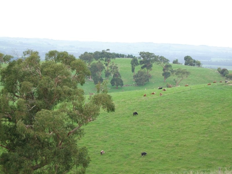 . Phelans Road, Nerrena VIC 3953