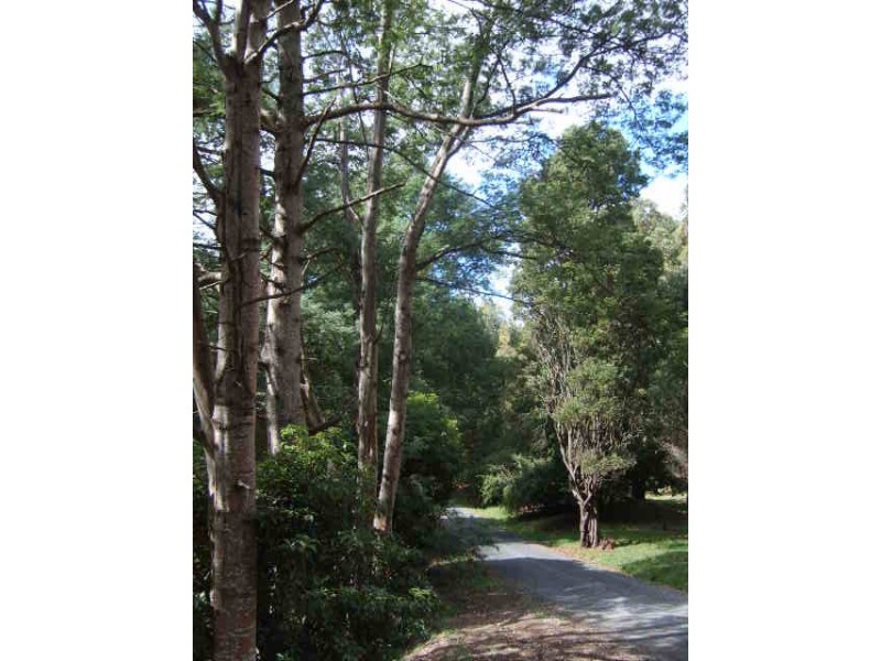 40 Lyrebird Lane, Foster VIC 3960