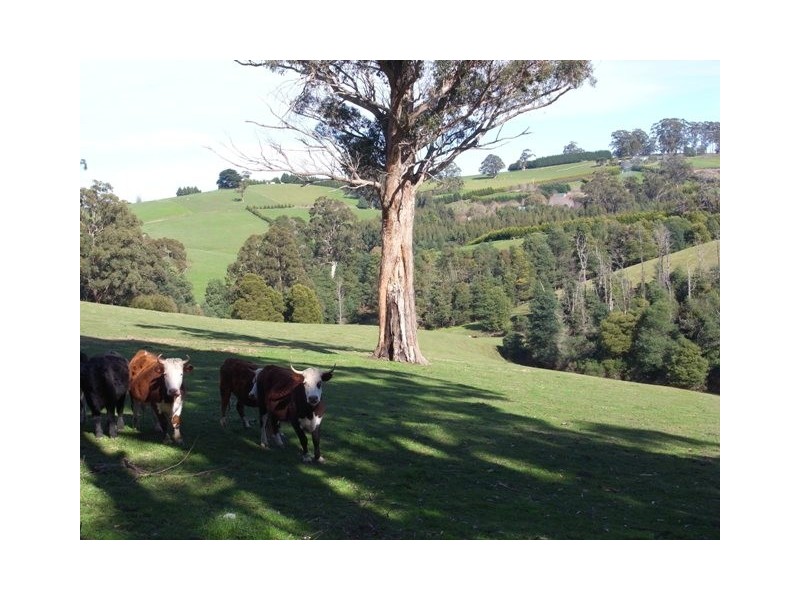 365 Sheffield Road, Neerim South VIC 3831