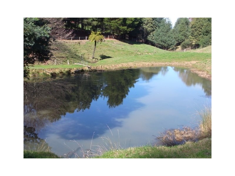 365 Sheffield Road, Neerim South VIC 3831