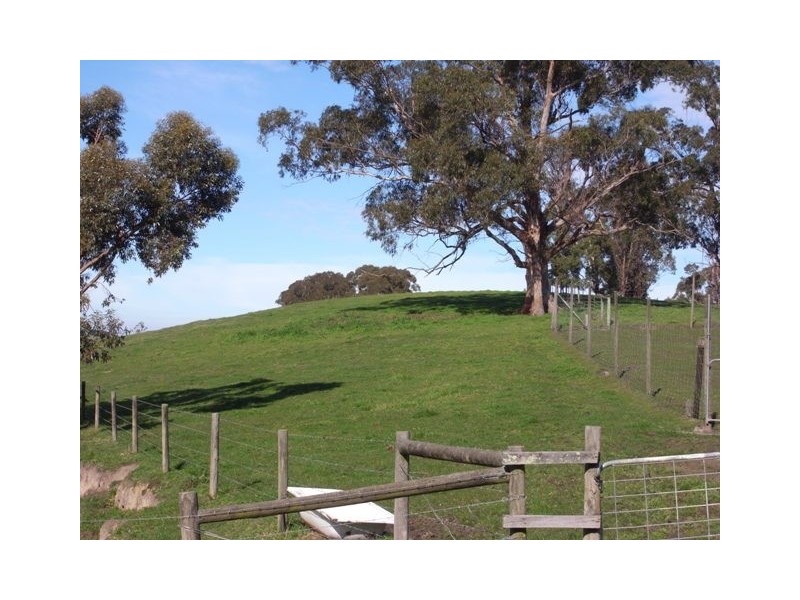 365 Sheffield Road, Neerim South VIC 3831