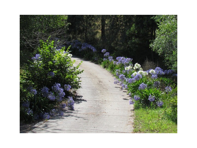 365 Sheffield Road, Neerim South VIC 3831