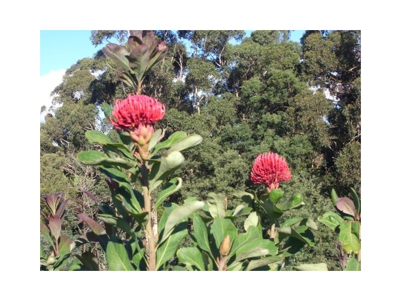 251D Hunters Road, Warragul South VIC 3821