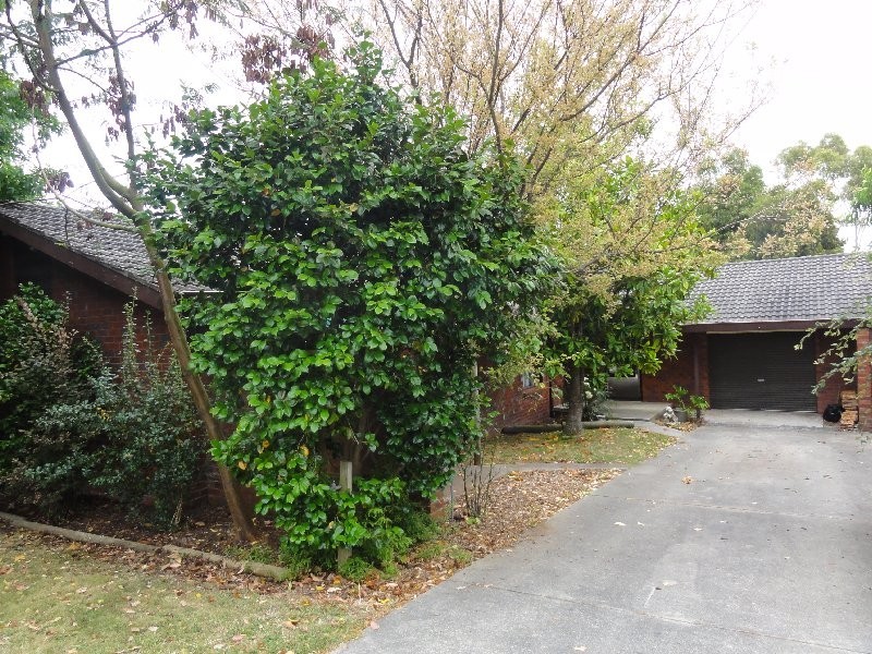 6 Hall Rd, Foster VIC 3960