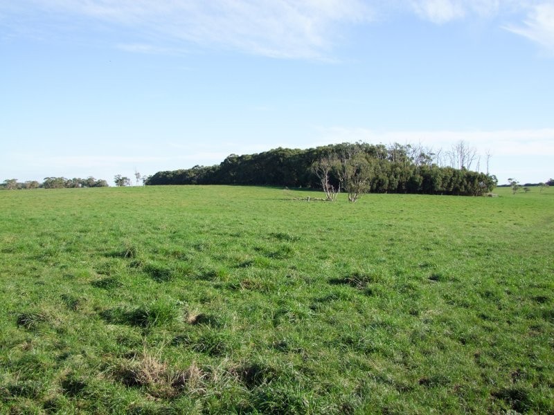 21 Pilkington’s Road, Fish Creek VIC 3959