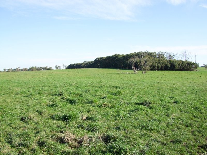 21 Pilkington’s Road, Fish Creek VIC 3959