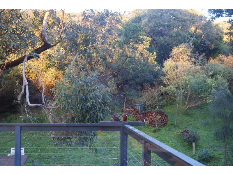 16 Graeme Grove, Sandy Point VIC 3959