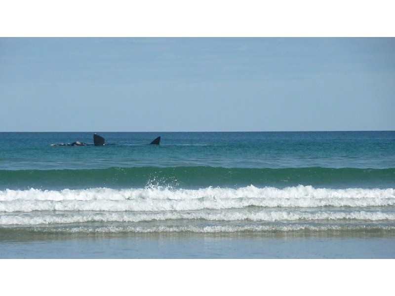 88 The Boulevard, Sandy Point VIC 3959