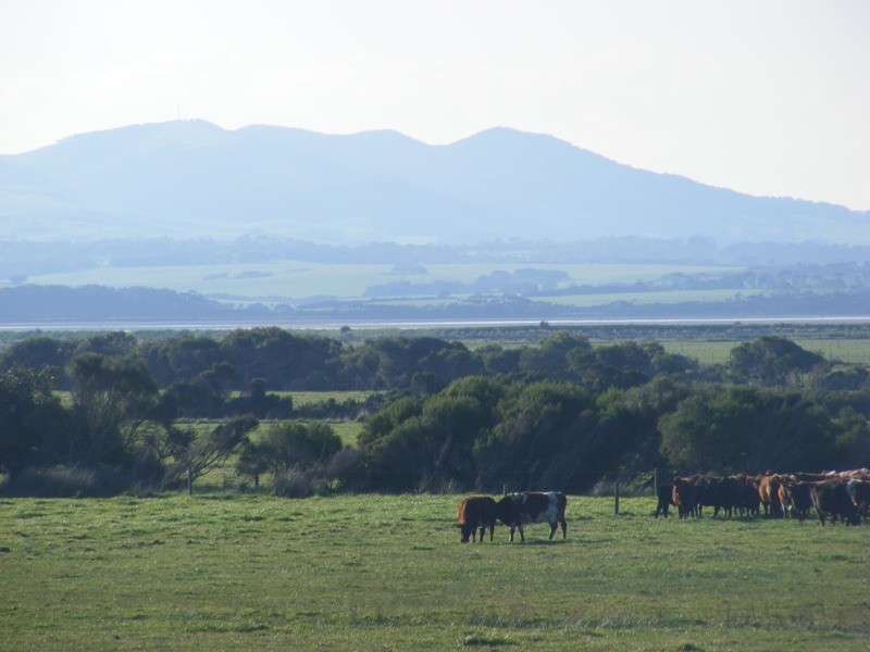 257 Sandy Point Road, Sandy Point VIC 3959