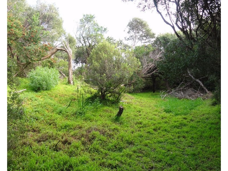 66 Sunshine Rise, Sandy Point VIC 3959