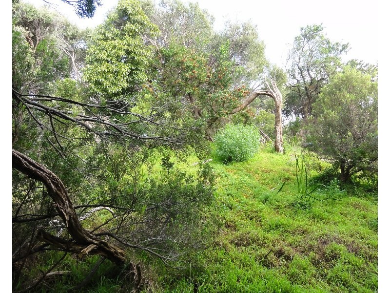 66 Sunshine Rise, Sandy Point VIC 3959