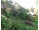 66 Sunshine Rise, Sandy Point VIC 3959
