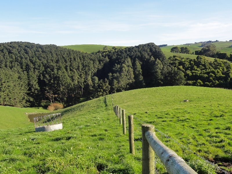 654 Falls Road, Fish Creek VIC 3959