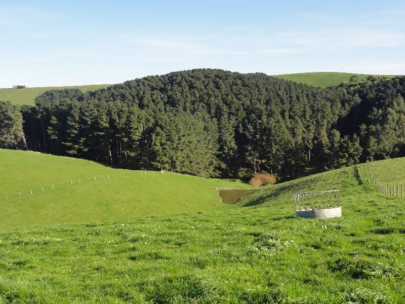 654 Falls Road, Fish Creek VIC 3959