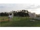 606 Darnum-Shady Creek Road, Darnum VIC 3822