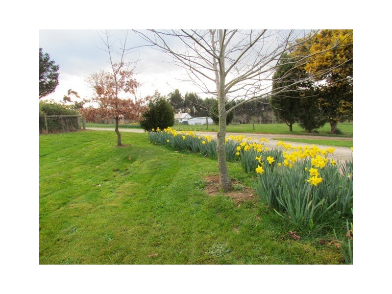 82 MackIntosh Road, Neerim South VIC 3831