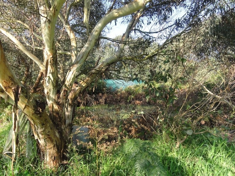 460 Millar Rd, Yanakie VIC 3960