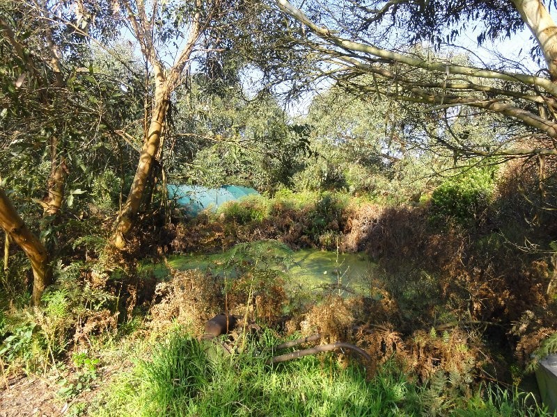 460 Millar Rd, Yanakie VIC 3960