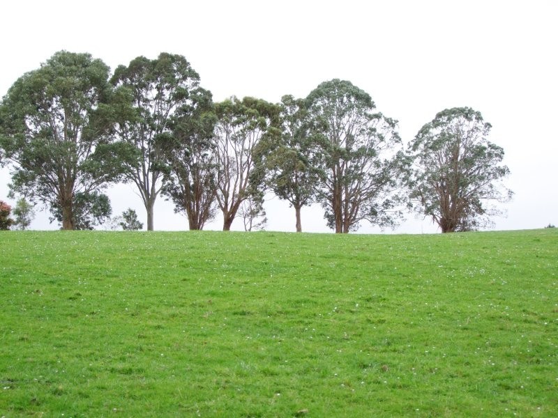 670 Clear Creek Road, Mirboo VIC 3871