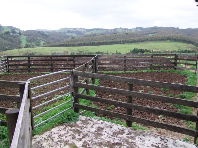 670 Clear Creek Road, Mirboo VIC 3871