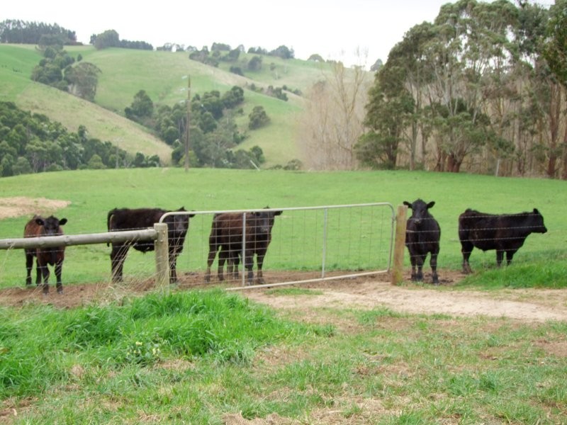 670 Clear Creek Road, Mirboo VIC 3871