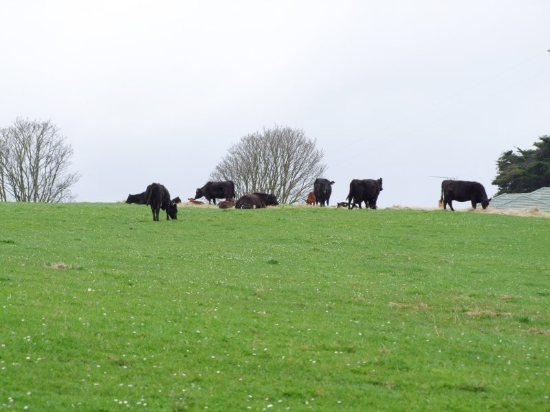 670 Clear Creek Road, Mirboo VIC 3871