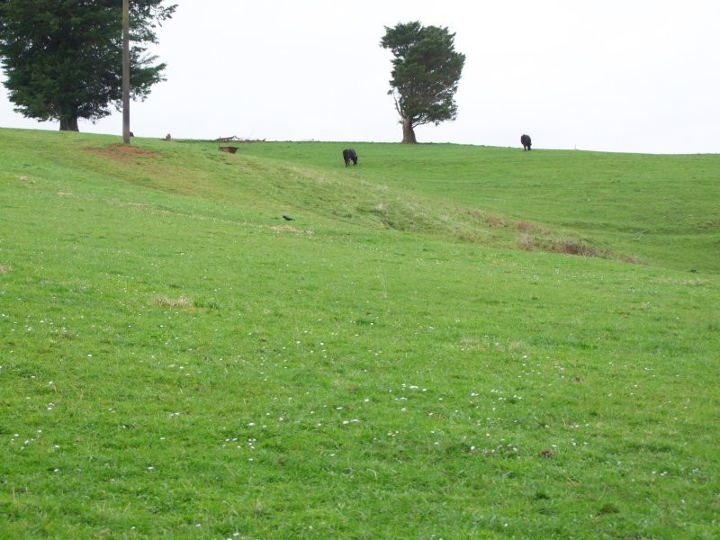 670 Clear Creek Road, Mirboo VIC 3871