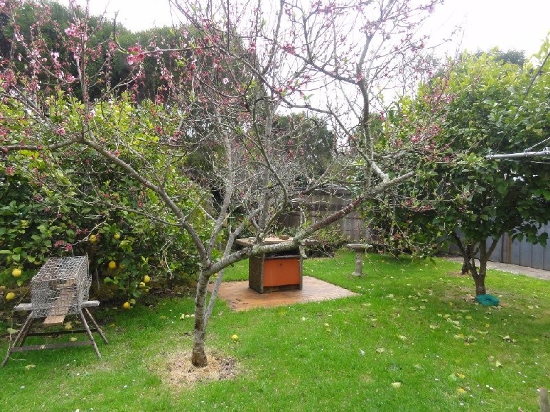 57-59 Acacia st, Walkerville VIC 3956