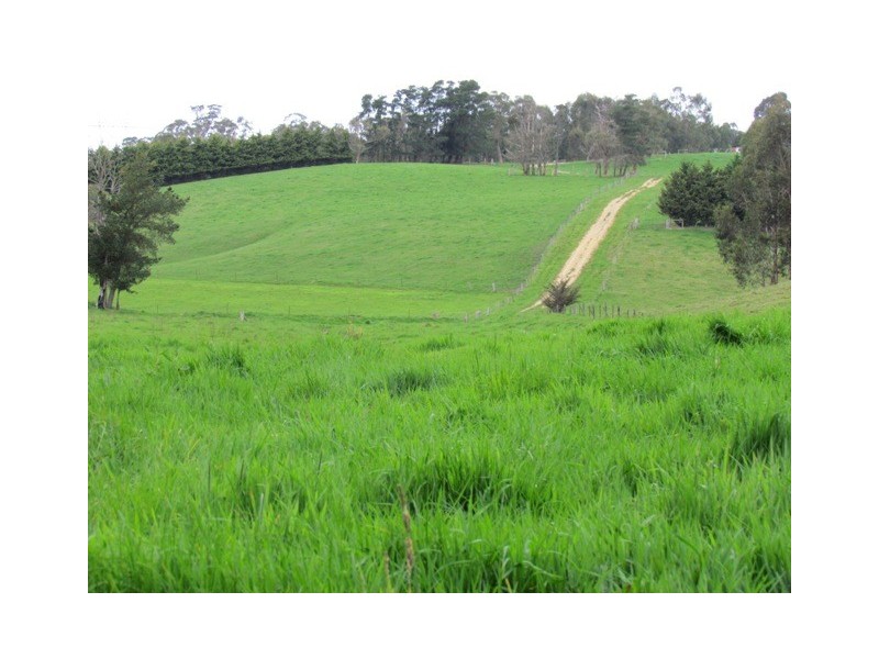 2435 Old Sale Road, Shady Creek VIC 3821