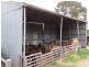 2435 Old Sale Road, Shady Creek VIC 3821
