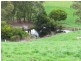 2435 Old Sale Road, Shady Creek VIC 3821