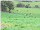 2435 Old Sale Road, Shady Creek VIC 3821