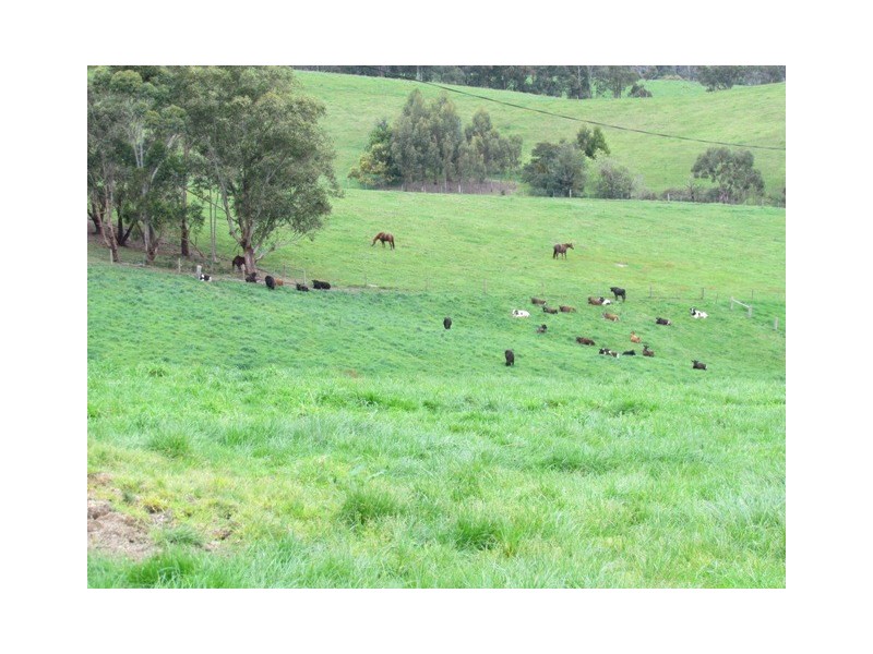 2435 Old Sale Road, Shady Creek VIC 3821